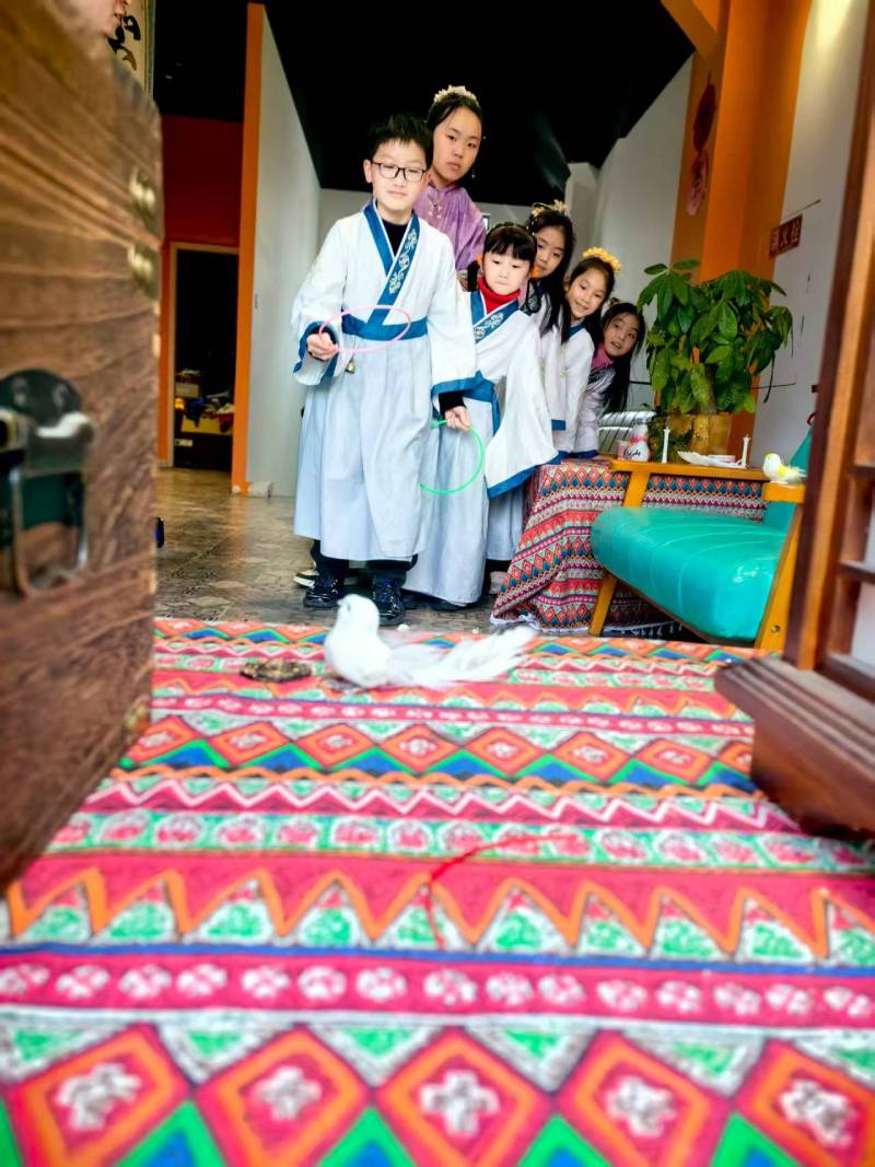 理塘县灯光秀活动策划